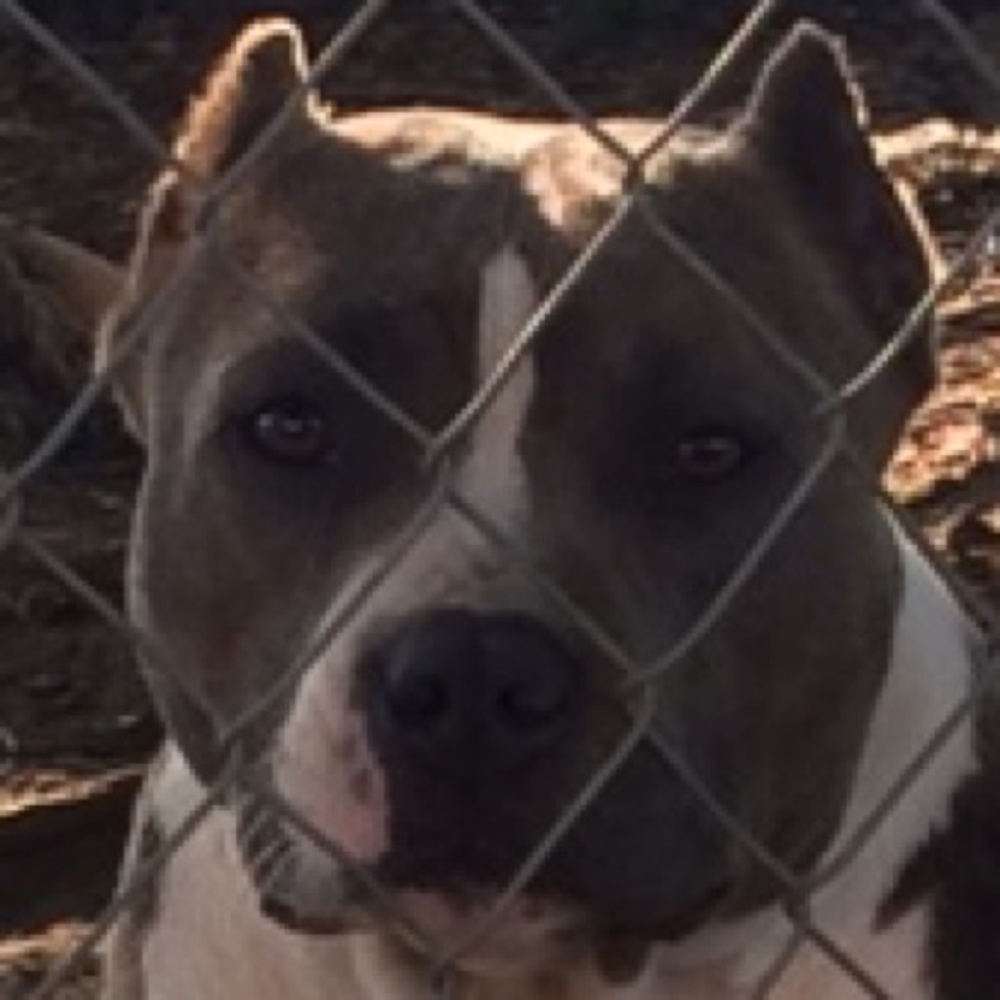 Meet your Posher, Mia